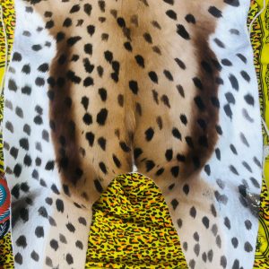 Leopard Skin
